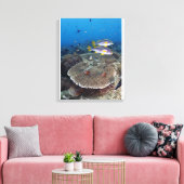 Süßlippenfisch Leinwanddruck (Insitu (Wohnzimmer))