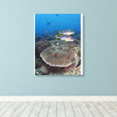 Süßlippenfisch Leinwanddruck (Insitu (Holzboden))