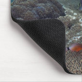 Süßlippenfisch Mousepad (Ecke)