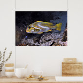 Süßlips mit Ribbonit 2 Poster (Küche)