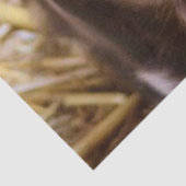 Süßmilch Seidenpapier (Detail)