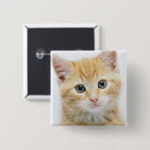 SüßorangeTabby Button (Vorne & Hinten)