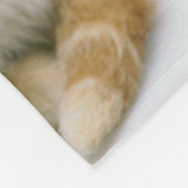 SüßorangeTabby Fleecedecke (Ecke)