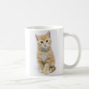 SüßorangeTabby Kaffeetasse