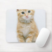 SüßorangeTabby Mousepad (Mit Mouse)