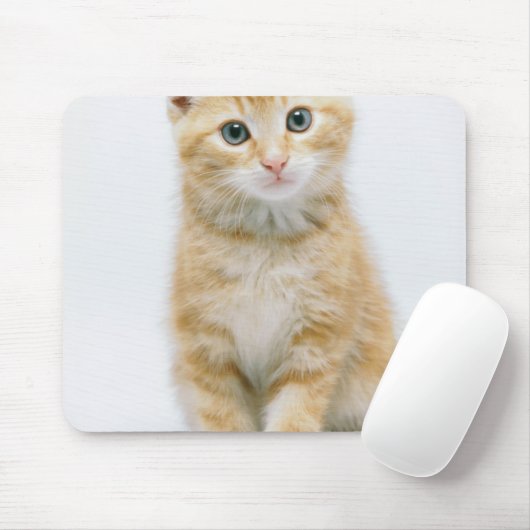 SüßorangeTabby Mousepad (Mit Mouse)