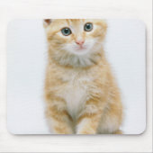 SüßorangeTabby Mousepad (Vorne)