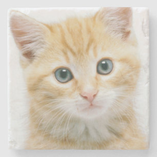 SüßorangeTabby Steinuntersetzer