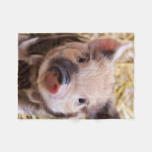 Süßpigment Fleecedecke (Vorderseite (Horizontal))