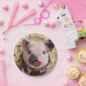 Süßpigment Pappteller (Party)