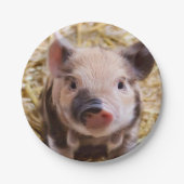 Süßpigment Pappteller (Vorderseite)