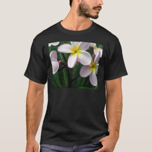 Süßrosa und gelbe Plumeria Blume T-Shirt