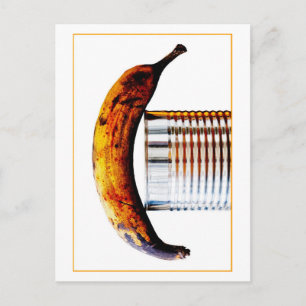 Süßsignal Postkarte