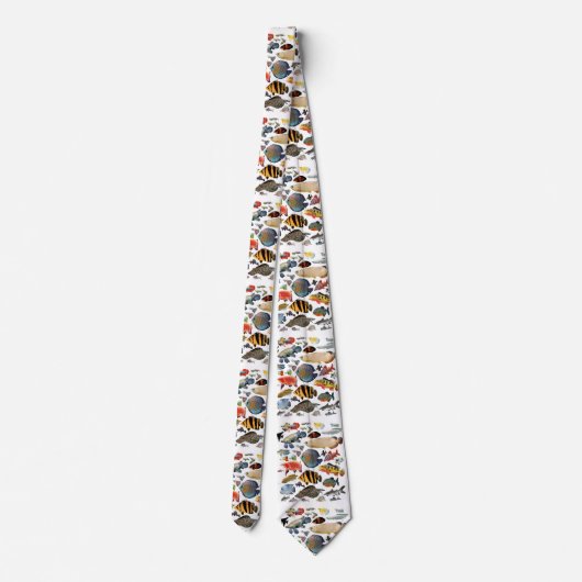 Süßwasser Tropischer Fisch ネ イ Krawatte (Rückseite)