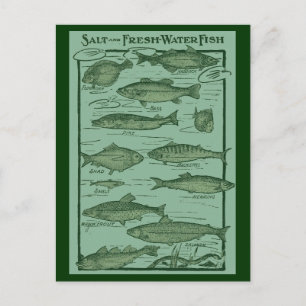 Süßwasser- und Salzwasserfischdiagramm Postkarte
