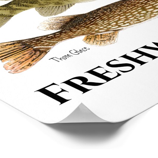 Süßwasserfisch Art Poster (Ecke)