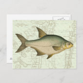 Süßwasserfisch auf Karte (Vorne/Hinten)