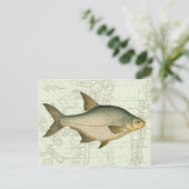 Süßwasserfisch auf Karte (Stehend Vorderseite)