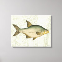 Süßwasserfisch auf Karte