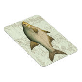 Süßwasserfisch auf Karte Magnet (Rechte Seite)