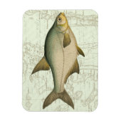 Süßwasserfisch auf Karte Magnet (Vertikal)