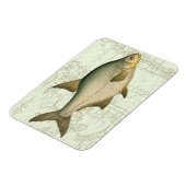 Süßwasserfisch auf Karte Magnet (Linke Seite)
