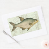 Süßwasserfisch auf Karte Rechteckiger Aufkleber (Umschlag)