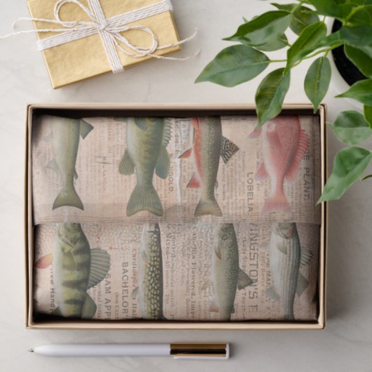 Süßwasserfisch Nordamerika Dekoupage Seidenpapier (Geschenk)