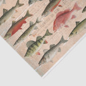 Süßwasserfisch Nordamerika Dekoupage Seidenpapier (Ausschnitt)