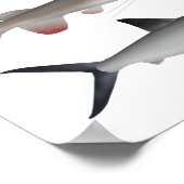 Süßwasserfischgruppe Südostasien Poster (Ecke)