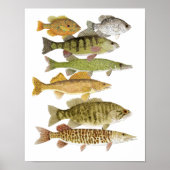 Süßwasserpreise Poster (Vorne)