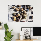 Süßwasserschnecken (texturiert) poster (Heimbüro)