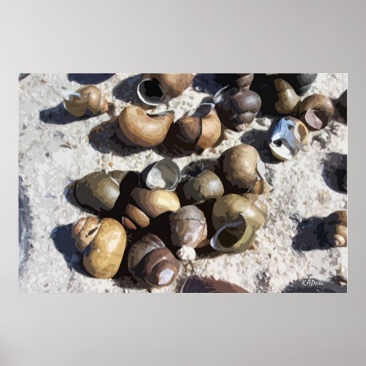 Süßwasserschnecken (texturiert) poster (Vorne)