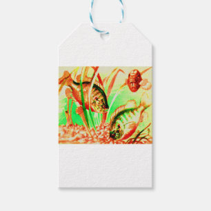 Süßwassersonnenfisch Geschenkanhänger