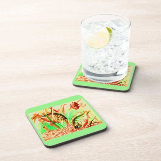 Süßwassersonnenfisch Getränkeuntersetzer (Rechte Seite)