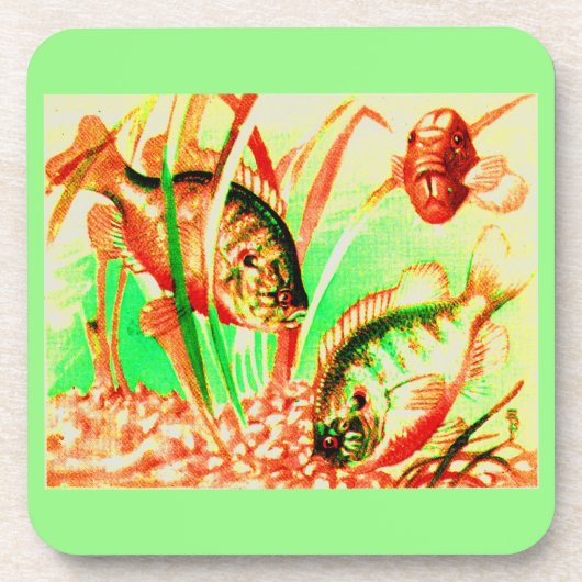 Süßwassersonnenfisch Getränkeuntersetzer (Vorderseite)