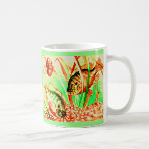 Süßwassersonnenfisch Kaffeetasse