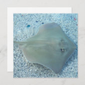 Süßwasserstingray-Einladungen Einladung (Vorne/Hinten)