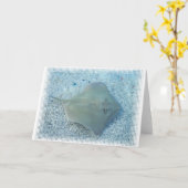 Süßwasserstingray-Gruß-Karte Karte (Gelbe Blume)