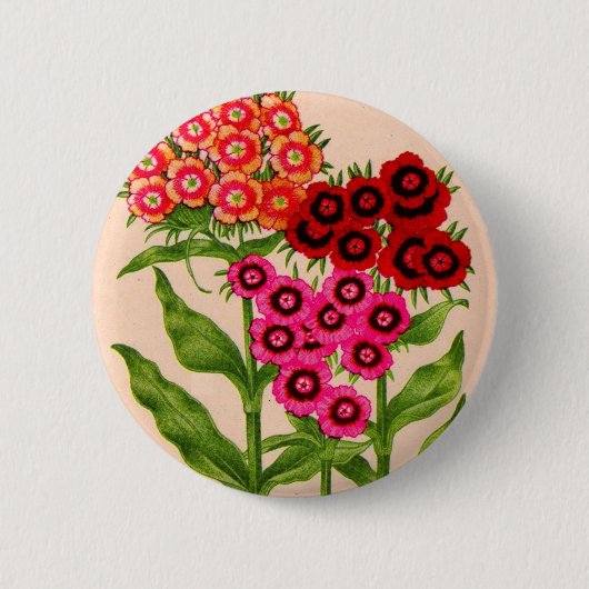 Süßwild Button (Vorderseite)