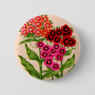 Süßwild Button