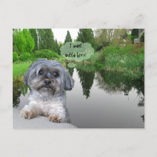 Sutcliffe Park, Vancouver, BC Postcard Postkarte