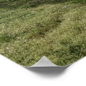 Sutro Bäder Poster (Ecke)