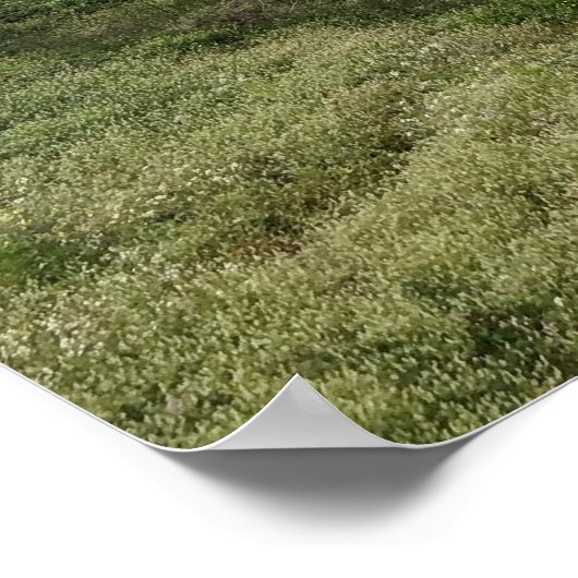 Sutro Bäder Poster (Ecke)