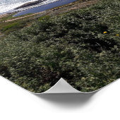 Sutro Baths Foto von Ahsek Novel Poster (Ecke)