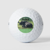Sutter Buttes Mountain das Bull Foto, Golf. Golfball (Vorderseite)