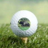 Sutter Buttes Mountain das Bull Foto, Golf. Golfball (Insitu T-Shirt)