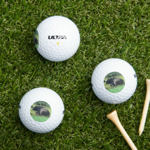 Sutter Buttes Mountain das Bull Foto, Golf. Golfball