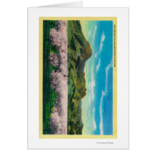 Sutter Buttons und Orchards im Blut