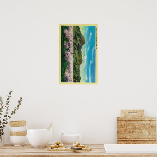 Sutter Buttons und Orchards im Blut Poster (Küche)